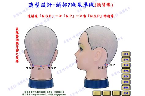 肘意思 頭部七條基準線中 耳點與頸側點的連線是